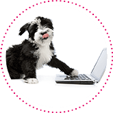 Puppy with paw on laptop - Improved problem-solving skills